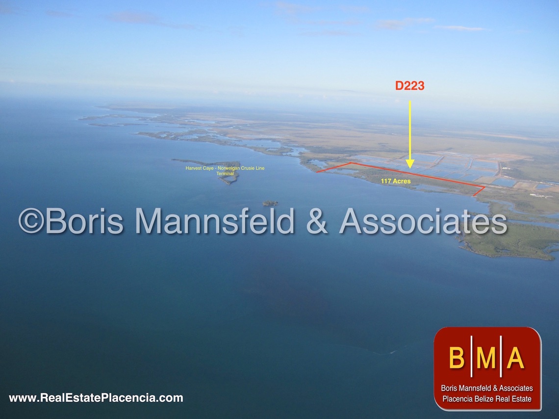 Development Property