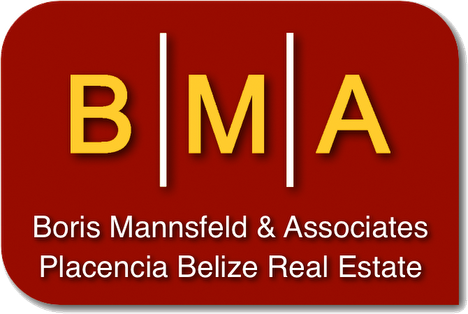 BMA - Logo