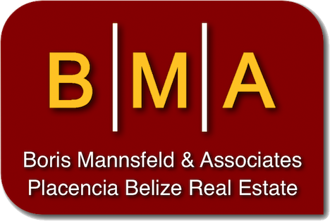 BMA - Logo