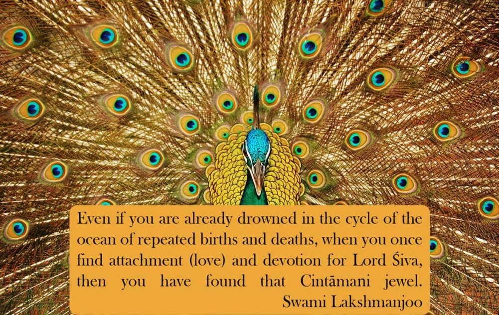 The Magical Jewel of Devotion in Kashmir Shaivism - Stava Cintamani