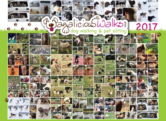 Wagalicious Walks 2017 Calendar
