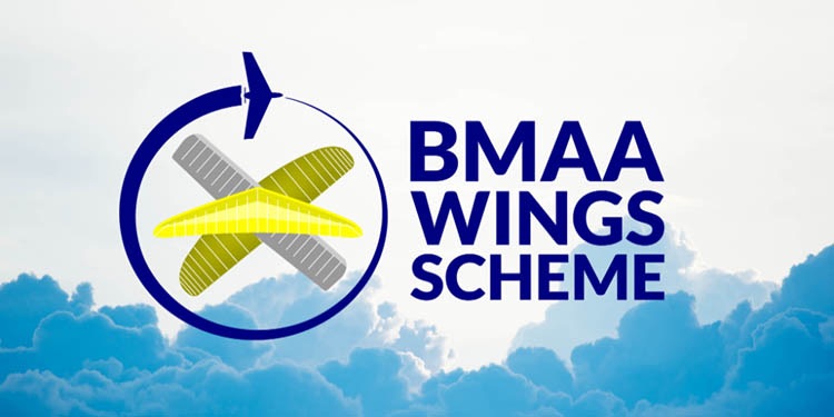 Wings