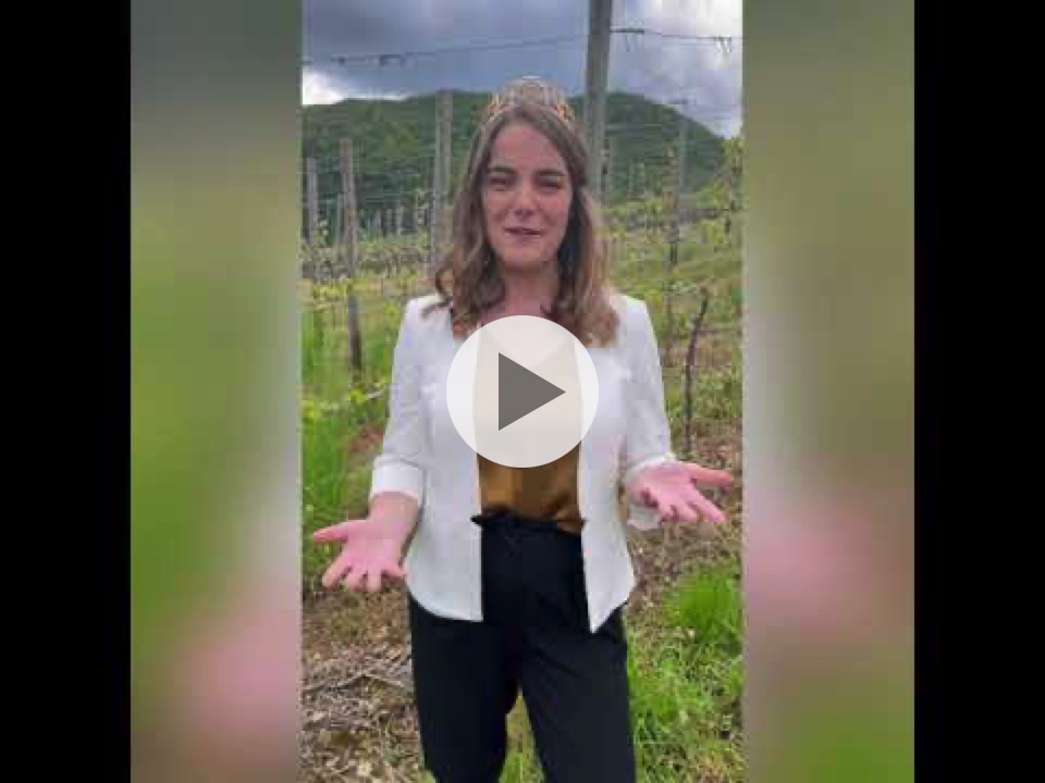 Hello from Eva Lanzerath, the 72nd German Wine Queen to Hong Kong wine lovers