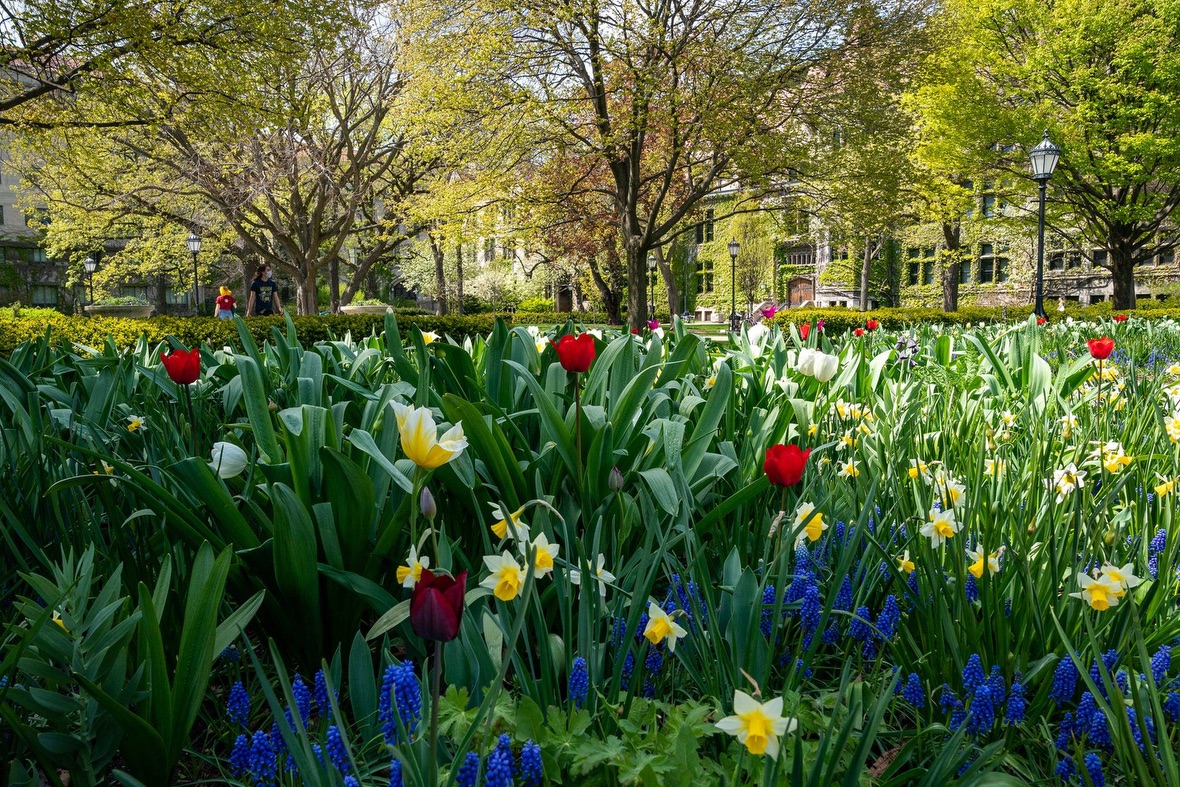 University of Chicago Offical Facebook posted on April 30, 2021
