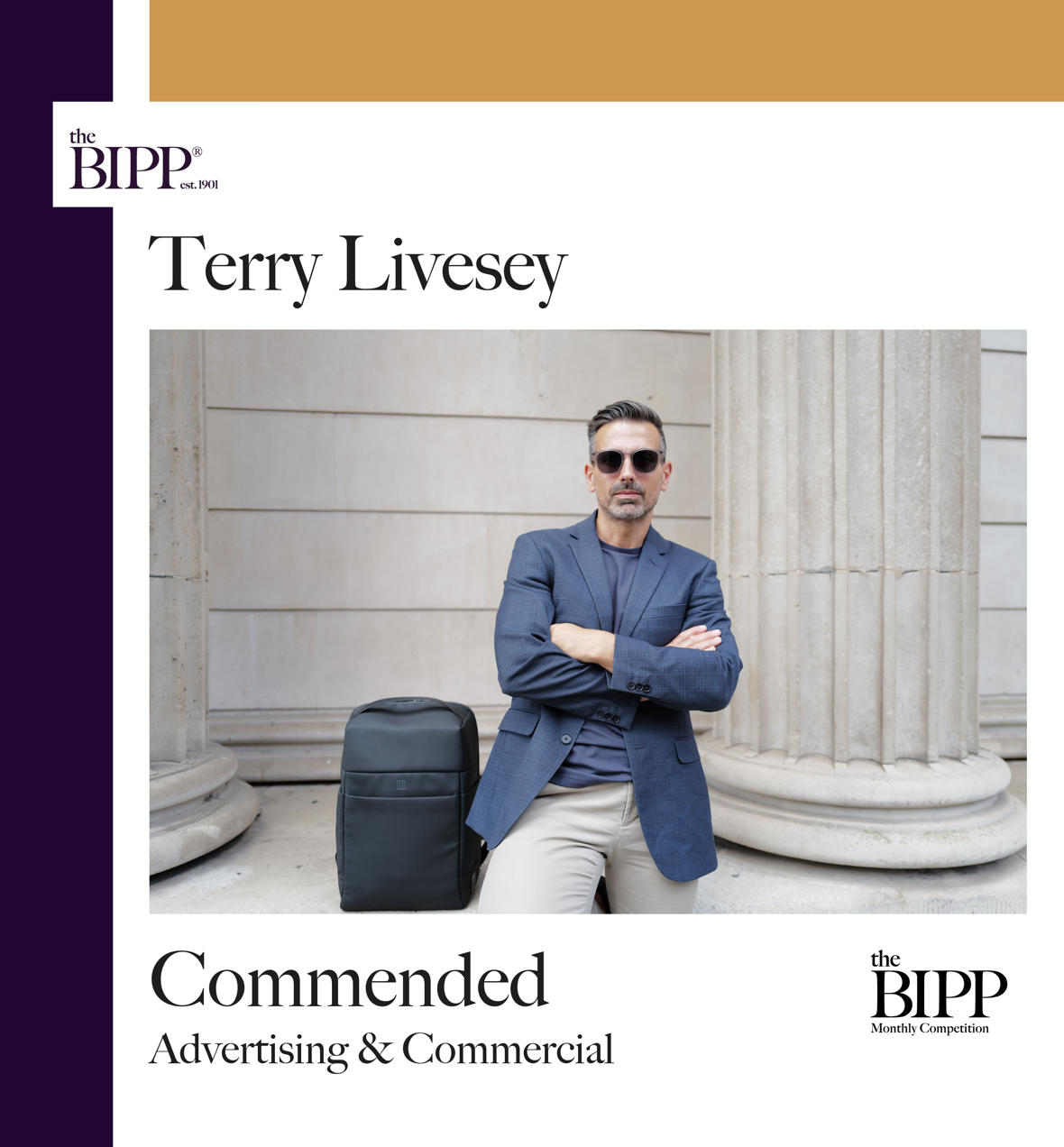 Commended image from the BIPP
