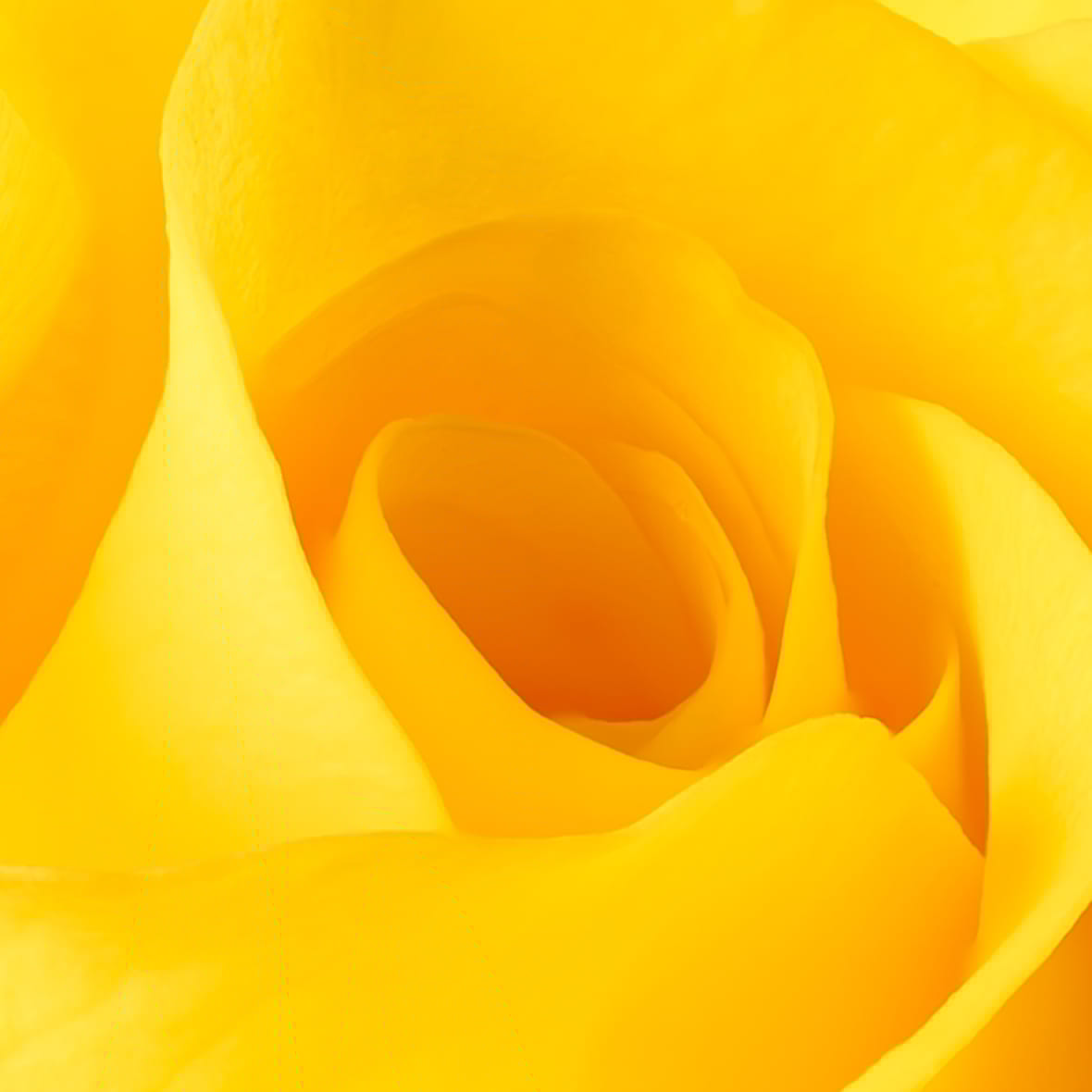 Focus stacking image