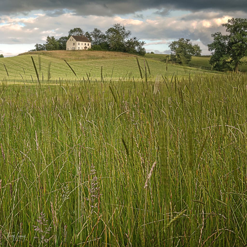 House on the Hill