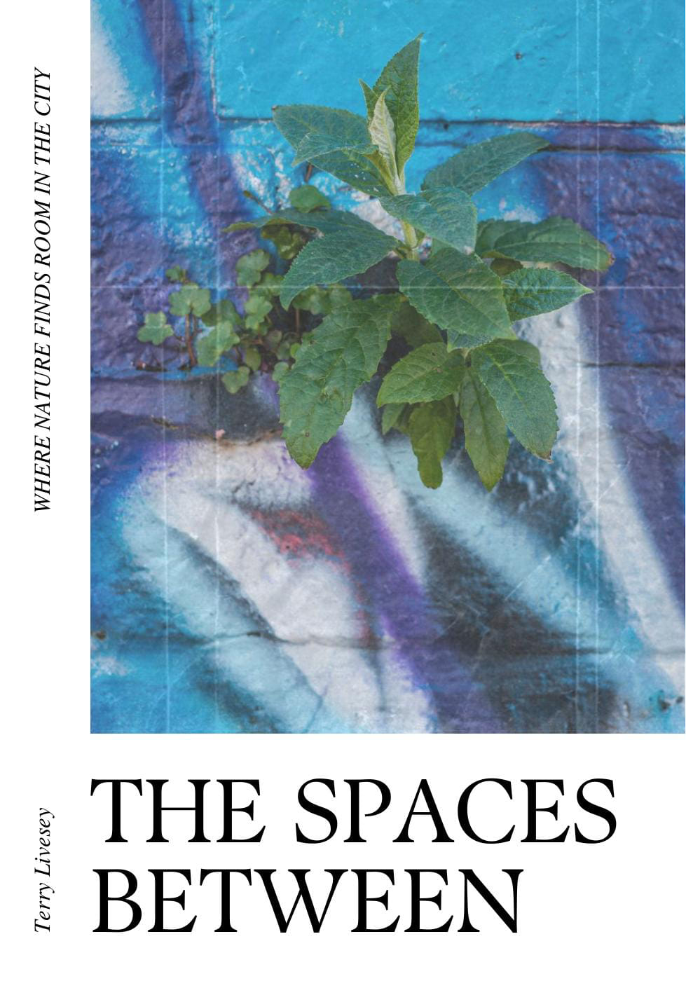 Zine Cover - The Spaces Between
