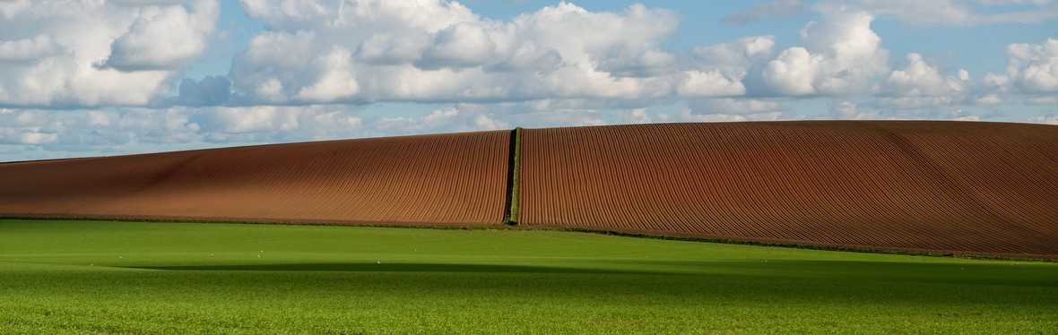 The Rolling Hills - See more by clicking the picture