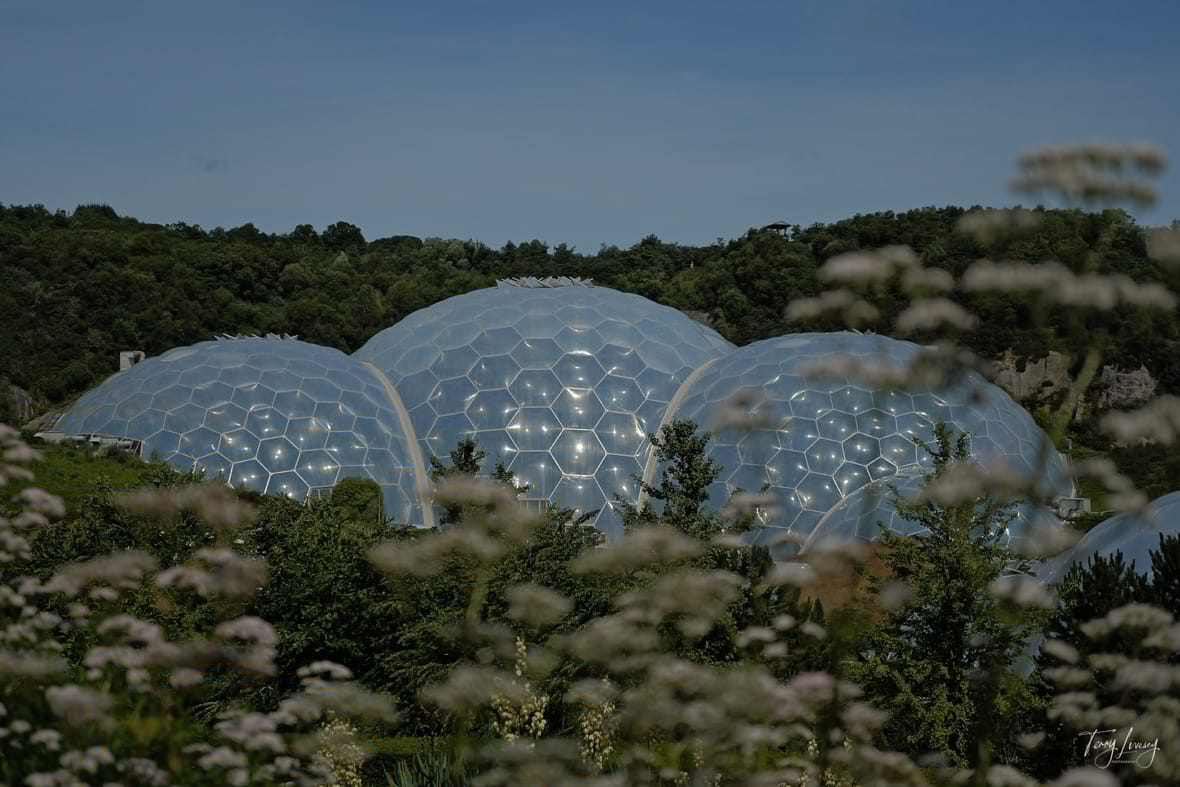 Eden Project