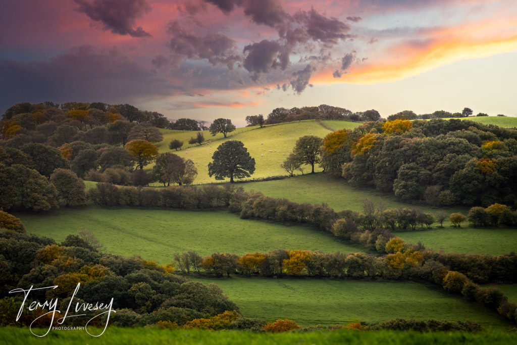 Mid Wales - See more by clicking the picture