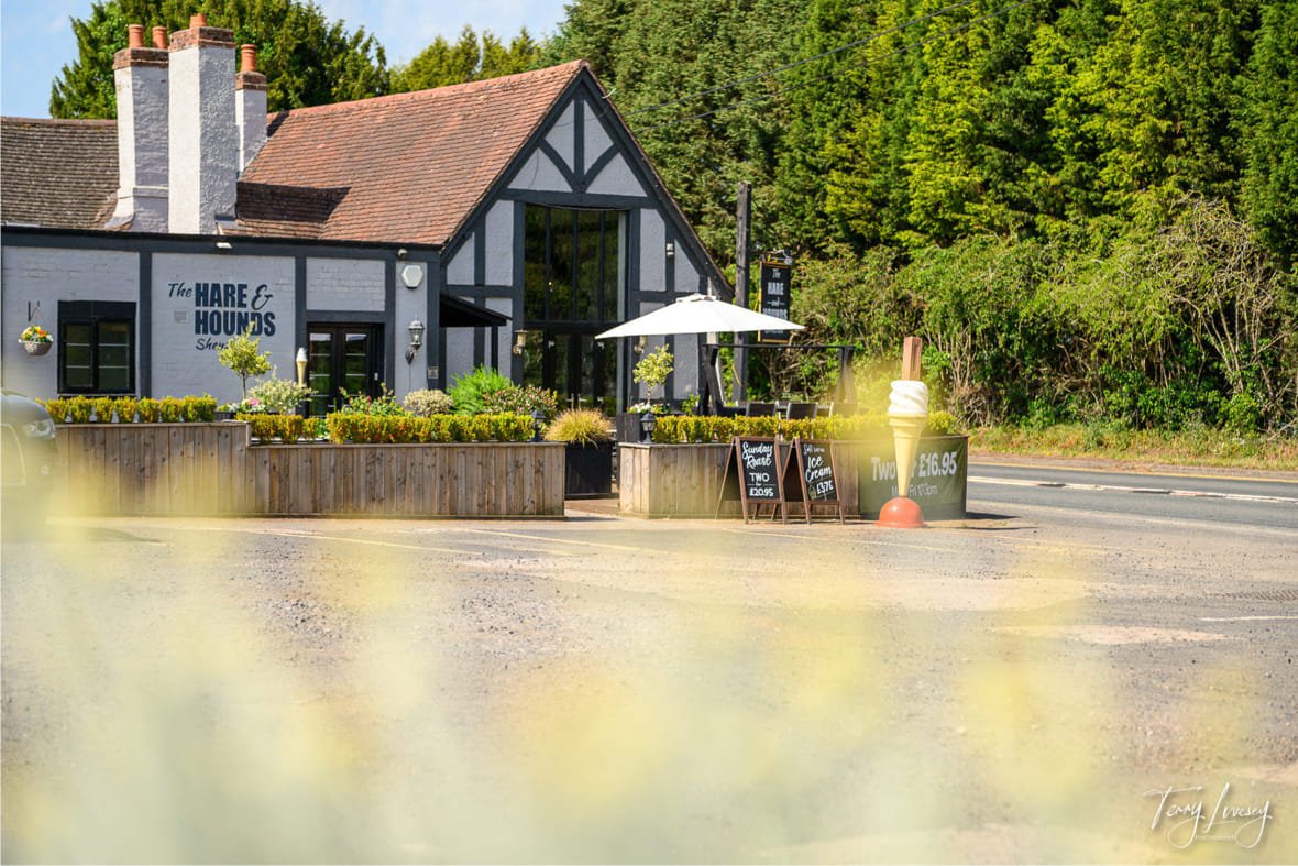 Hare and Hounds