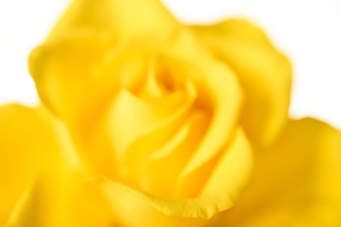 Focus stacking image