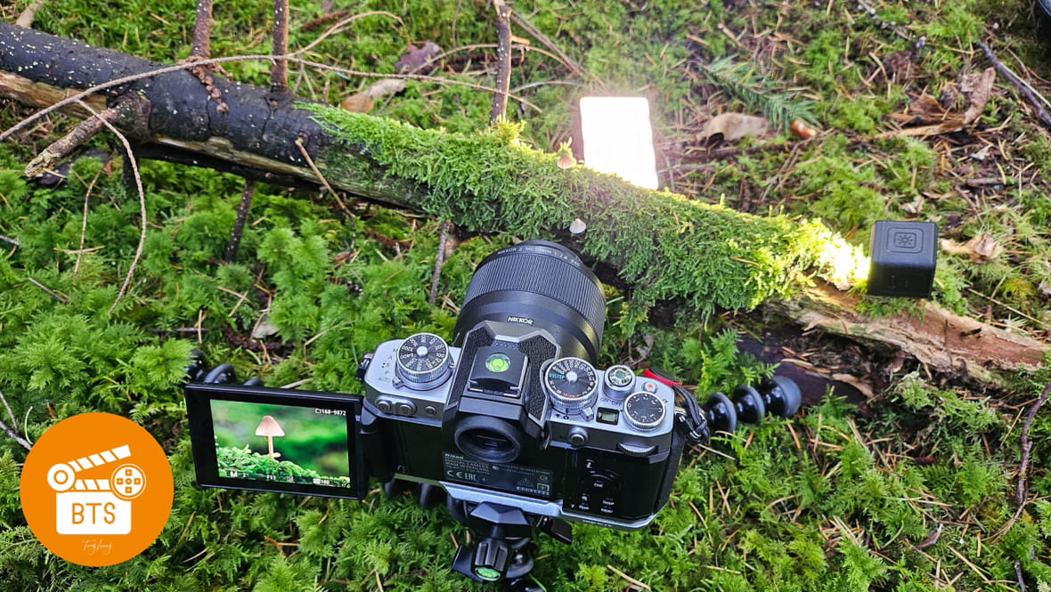 BTS