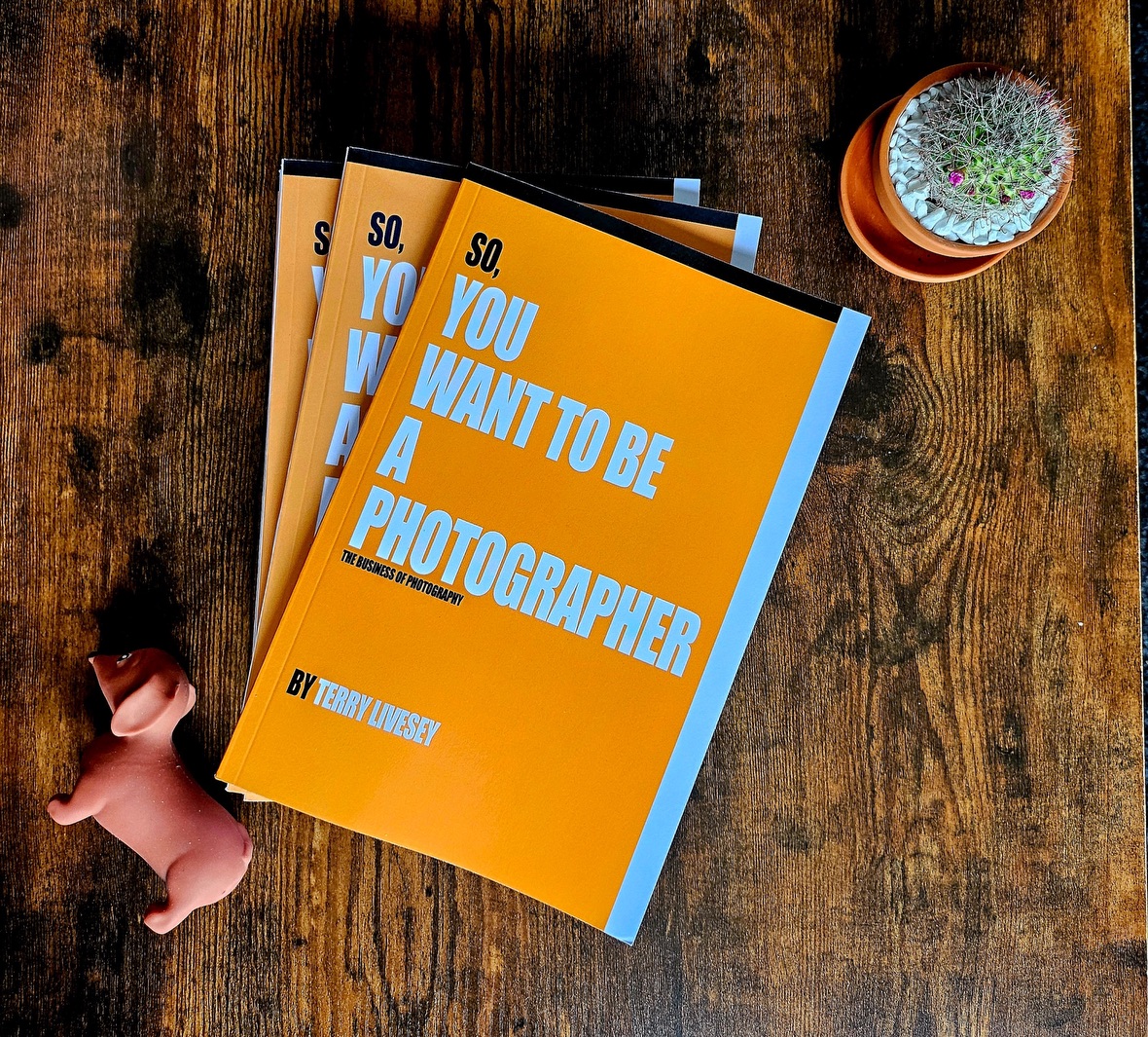 Book - So, You Want to be a Photographer