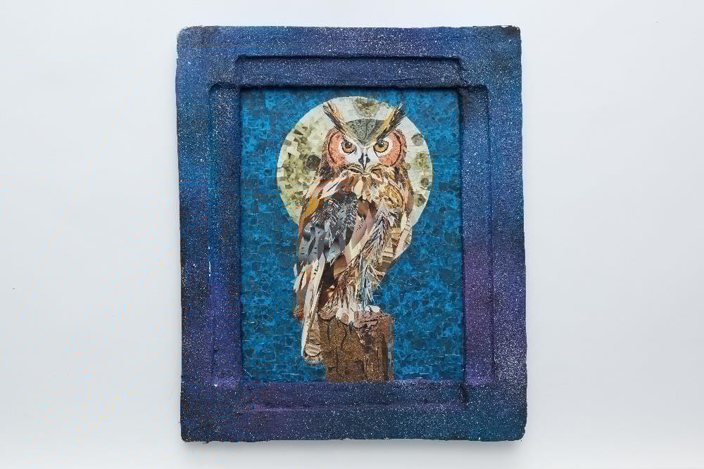 A picture of an owl  AI-generated content may be incorrect.